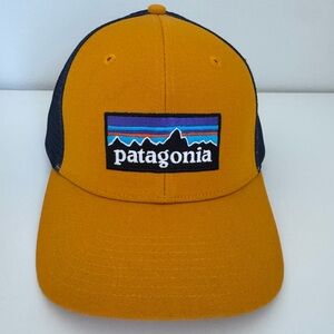 Patagonia Yellow/mustard and Blue Cap
